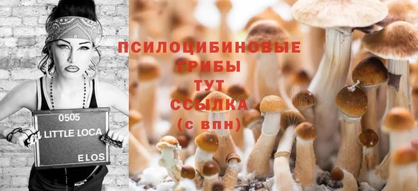 мяу мяу мука Михайловск