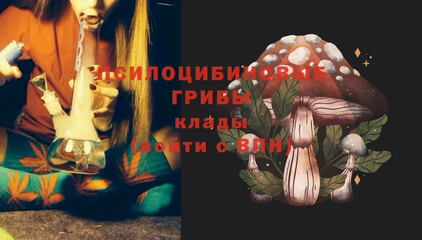 MDMA Мурманск