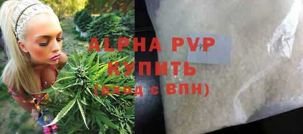 шишки Новокубанск