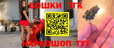 шишки Бийск