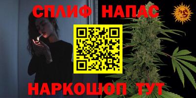 мяу мяу мука Беслан