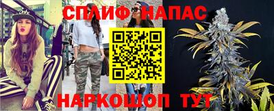 шишки Бийск