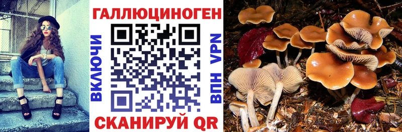 Псилоцибиновые грибы мухоморы  Североморск 