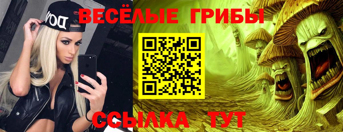 Галлюциногенные грибы Psilocybe  Вход с VPN  Североморск 